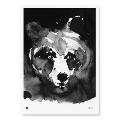 Plakát Mysterious Bear 50x70