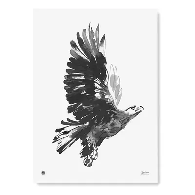 Plakát Eagle 50x70