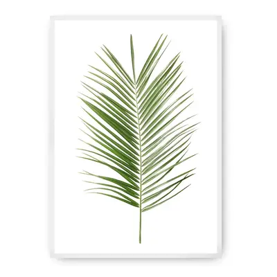 Plakát Palm Leaf Green