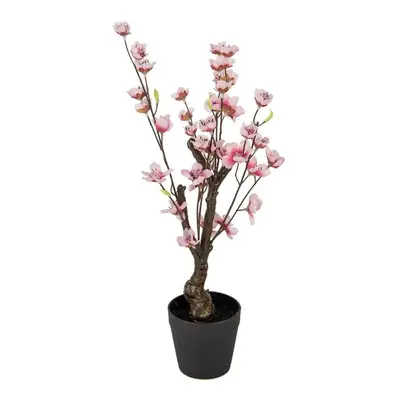 Dekorace umělý stromek třešeň s růžovými květy Cherry Blossom - 10*10*48 cm