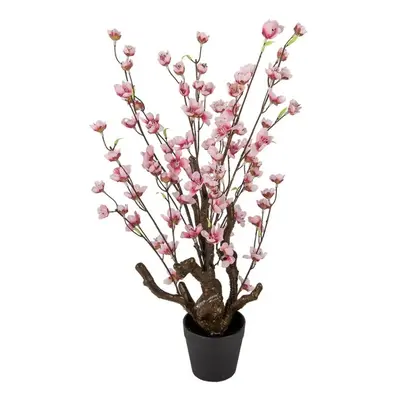 Dekorace umělý stromek třešeň s růžovými květy Cherry Blossom - 18*18*70 cm