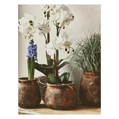 Dekorace umělá květina Orchidej s kořeny a mechem - 23*17*40 cm