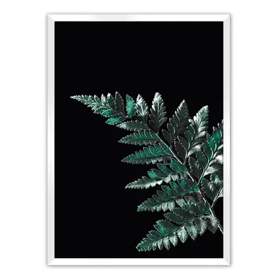 Plakát Dark Fern Leaf