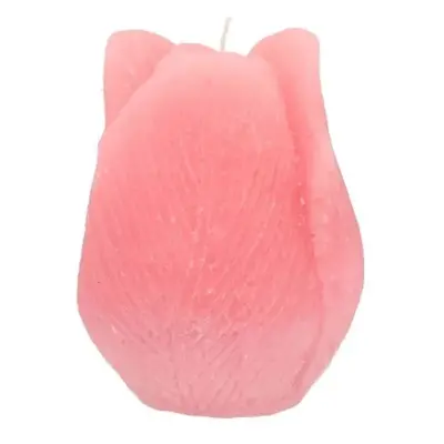 Růžová svíčka ve tvaru tulipánu Tulip Blush Pink - Ø 7*8 cm