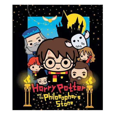 Dětská plyšová deka Harry Potter s přáteli - nano coral s gramáží 220 gr./m² - 120 x 150 cm