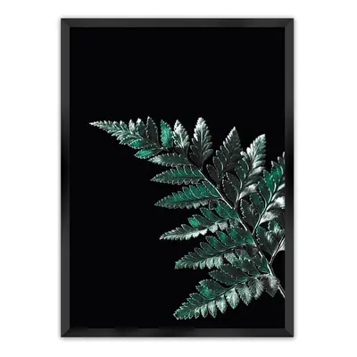 Plakát Dark Fern Leaf