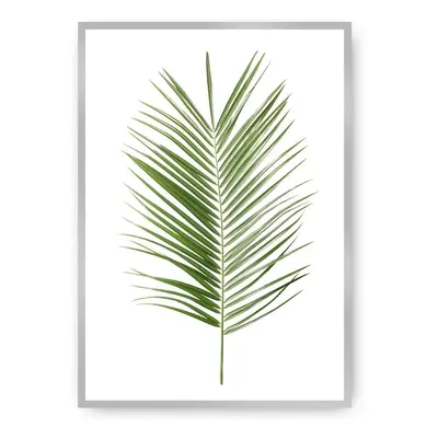 Plakát Palm Leaf Green