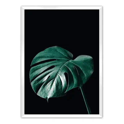 Plakát Dark Monstera