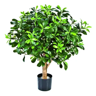 Pittosporum umělý V 65 cm