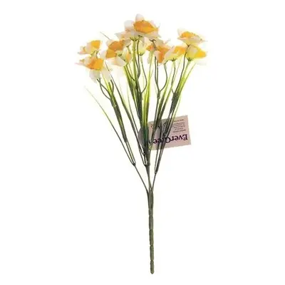 Narcis kytice s 15-ti květy, výška 32 cm