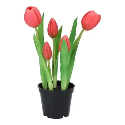 5ks tmavě růžový realistický tulipán Tulips v květináčku - Ø 8*7/ 26 cm