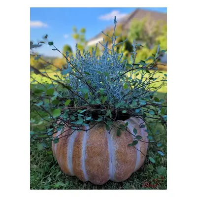 Obal na květináč ve tvaru dýně Pumpkin - Ø15*9 cm