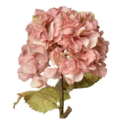 Růžová dekorační květina hortenzie Hydrangea - 10*10*55 cm