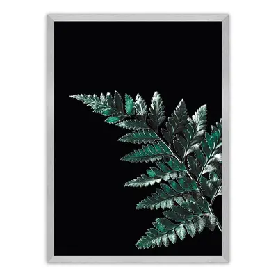 Plakát Dark Fern Leaf