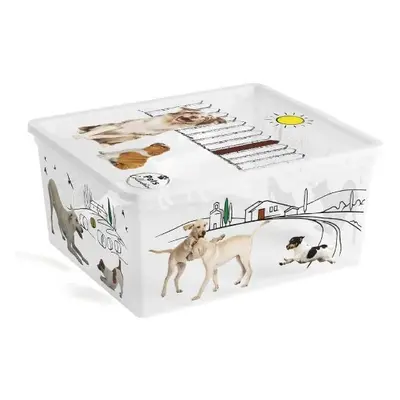 Úložný box C-BOX M 18l, pets