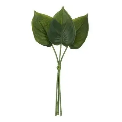 3 okrasné listy Philodendron I - 30cm