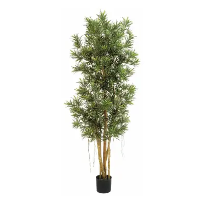 Podocarpus Reflexa umělý Ø 55 cm / V 180 cm