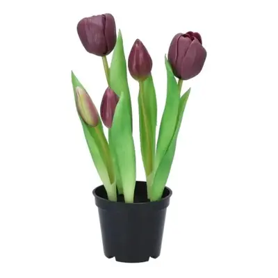 5ks fialový realistický tulipán Tulips v květináčku - Ø 8*7/ 26 cm