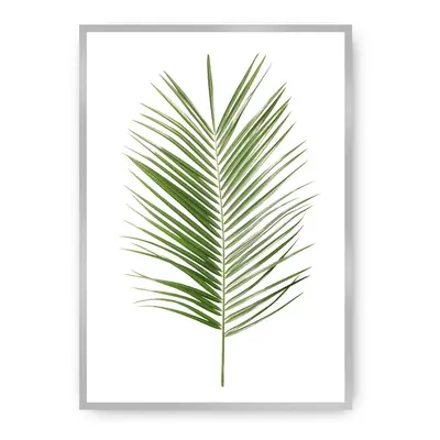 Plakát Palm Leaf Green