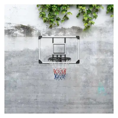 Basketbalový koš s průhlednou deskou 90x60x2,5 cm polykarbonát