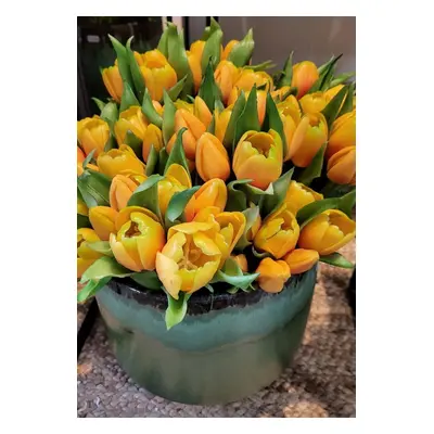 Kytice 7ks oranžových realistických tulipánů - 45cm