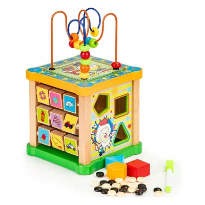 EcoToys Eco Toys edukační kostka s labyrintem 5v1