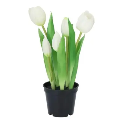 5ks bílý realistický tulipán Tulips v květináčku - Ø 8*7/ 26 cm