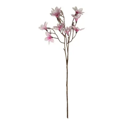 Magnolie větev x 3 výhony (9 květů a poupata), výška 70 cm