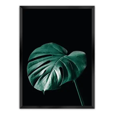 Plakát Dark Monstera