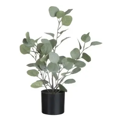 Dekorace Eucalyptus v květináči - Ø12*43cm