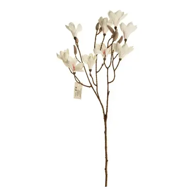 Magnolie větev x 3 výhony (9 květů a poupata), výška 70 cm