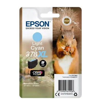 Epson T3795 - originálny