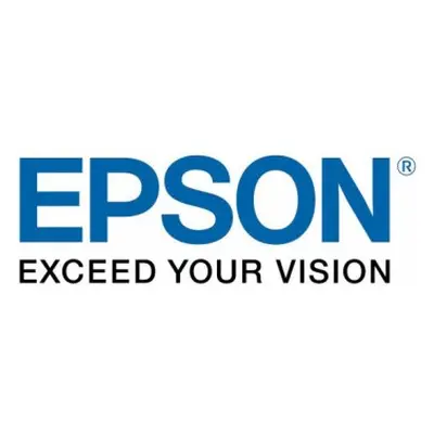 Epson T6713 - originální