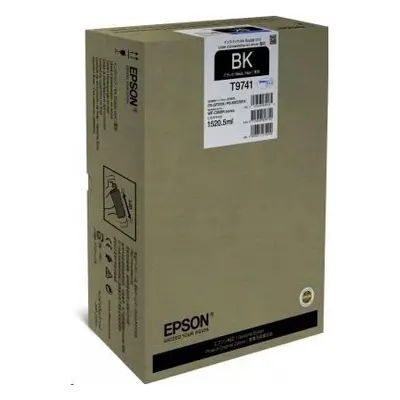 Epson C13T974100 - originální