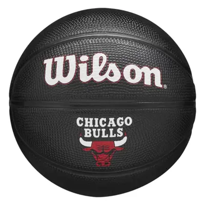 Wilson Team Tribute Chicago Bulls Mini Ball WZ4017602XB