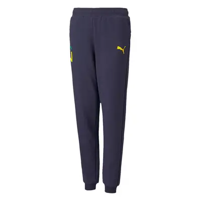 Dětské tepláky Puma Neymar Jr Hero Sweatpants 605547-06