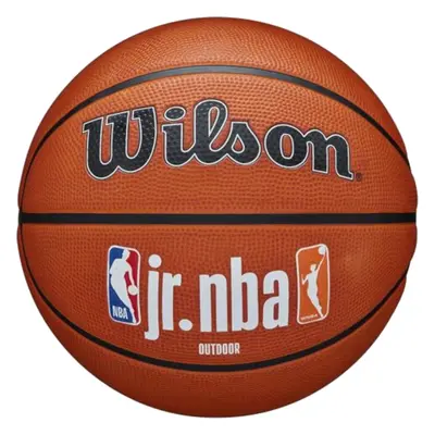 Wilson Jr NBA Fam Logo Authentic Outdoor Ball WZ3011801XB