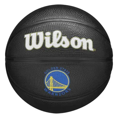 Wilson Team Tribute Golden State Warriors Mini Ball WZ4017603XB