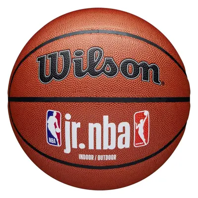 Wilson Jr NBA Fam Logo In/Out Ball WZ2009801XB