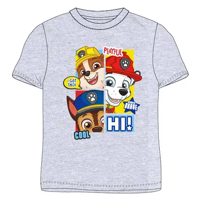 Paw Patrol - Tlapková patrola -Licence Chlapecké tričko - Paw Patrol 52021605, šedá Barva: Šedá