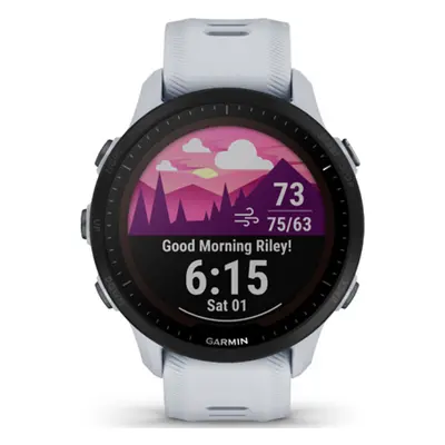 GARMIN chytré hodinky - FORERUNNER 955 SOLAR - šedá