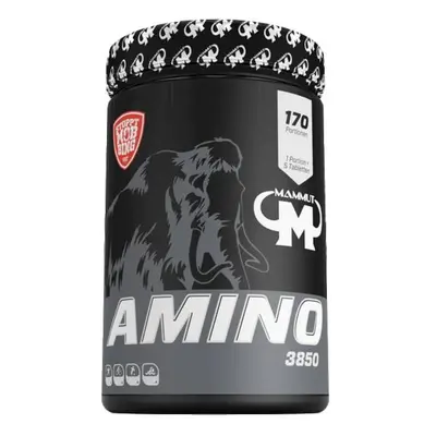 Mammut Amino 3850 850 tablet