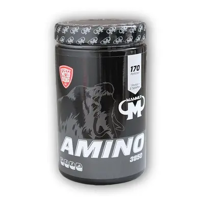 Mammut Nutrition Amino 3850 850 tablet