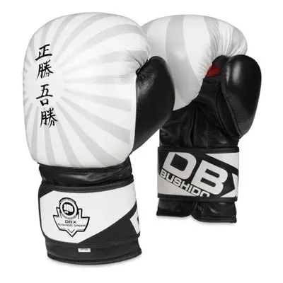 BUSHIDO Boxerské rukavice DBX B-2v8