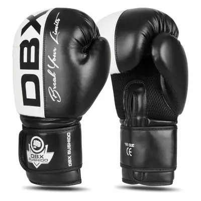 BUSHIDO Boxerské rukavice DBX B-2v20