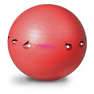 Sedco Gymnastický míč SHULAN YOGA BALL 65 cm