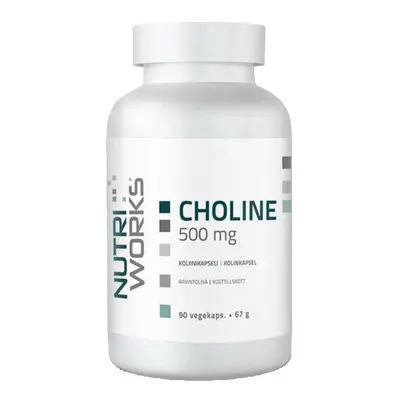 NutriWorks Choline 500mg 90 kapslí