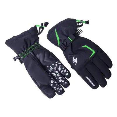 Blizzard Reflex ski gloves black/green