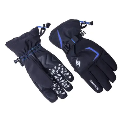 Blizzard Reflex ski gloves black/blue