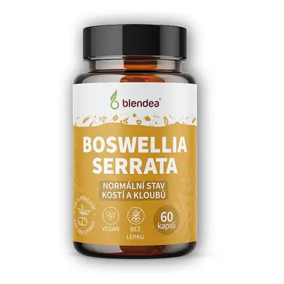 Blendea Boswellia Serrata 60 kapslí